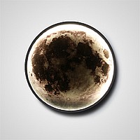 Cosmos moon