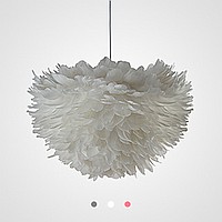 Feathers
