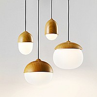 Acorns